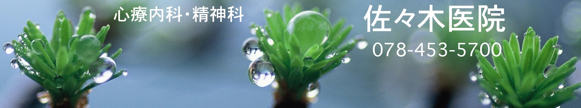 神戸市東灘区摂津本山、岡本の心療内科、精神科 クリニック | 佐々木医院 